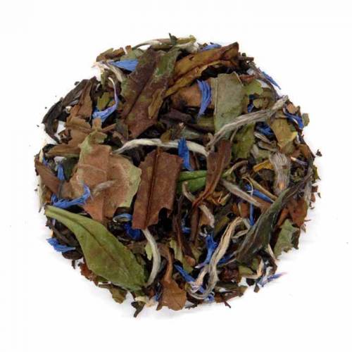 Wild Blueberry - White Tea