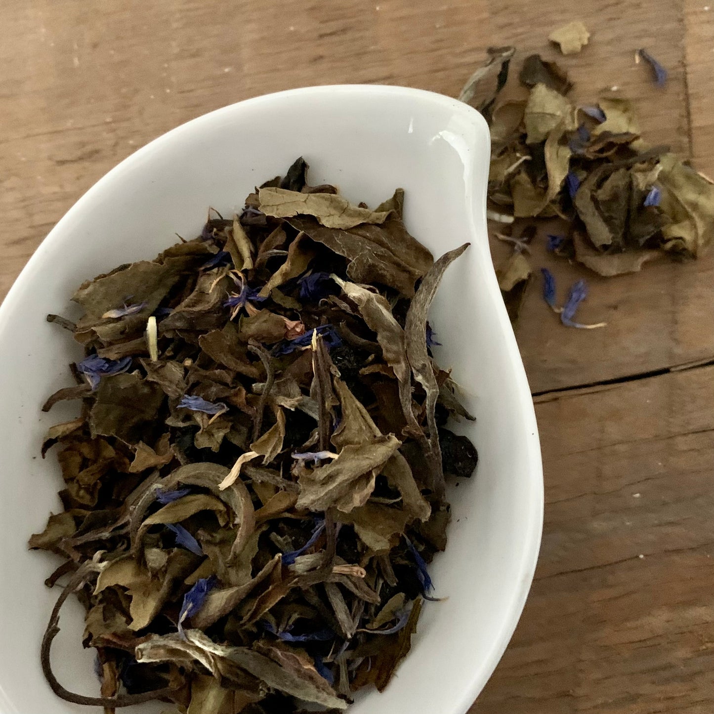 Wild Blueberry - White Tea